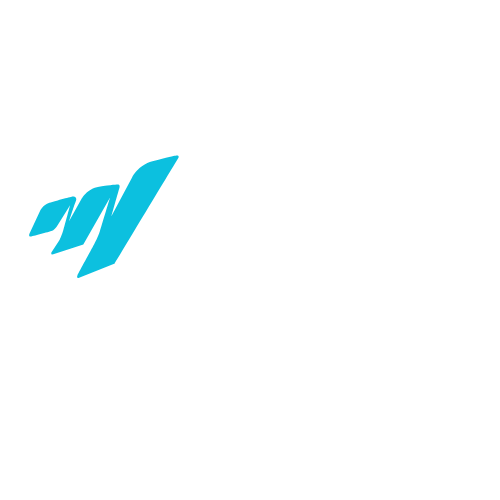 Manoctis